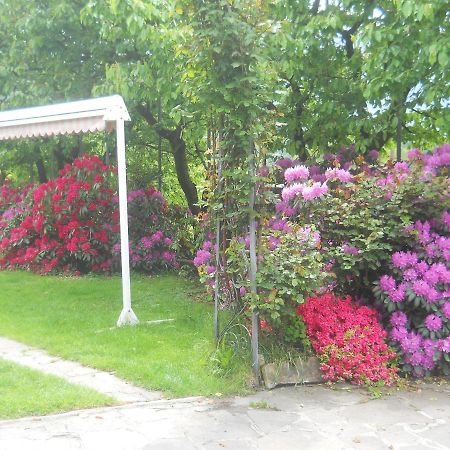 Albergo Negritella Borgo Valsugana Exteriör bild