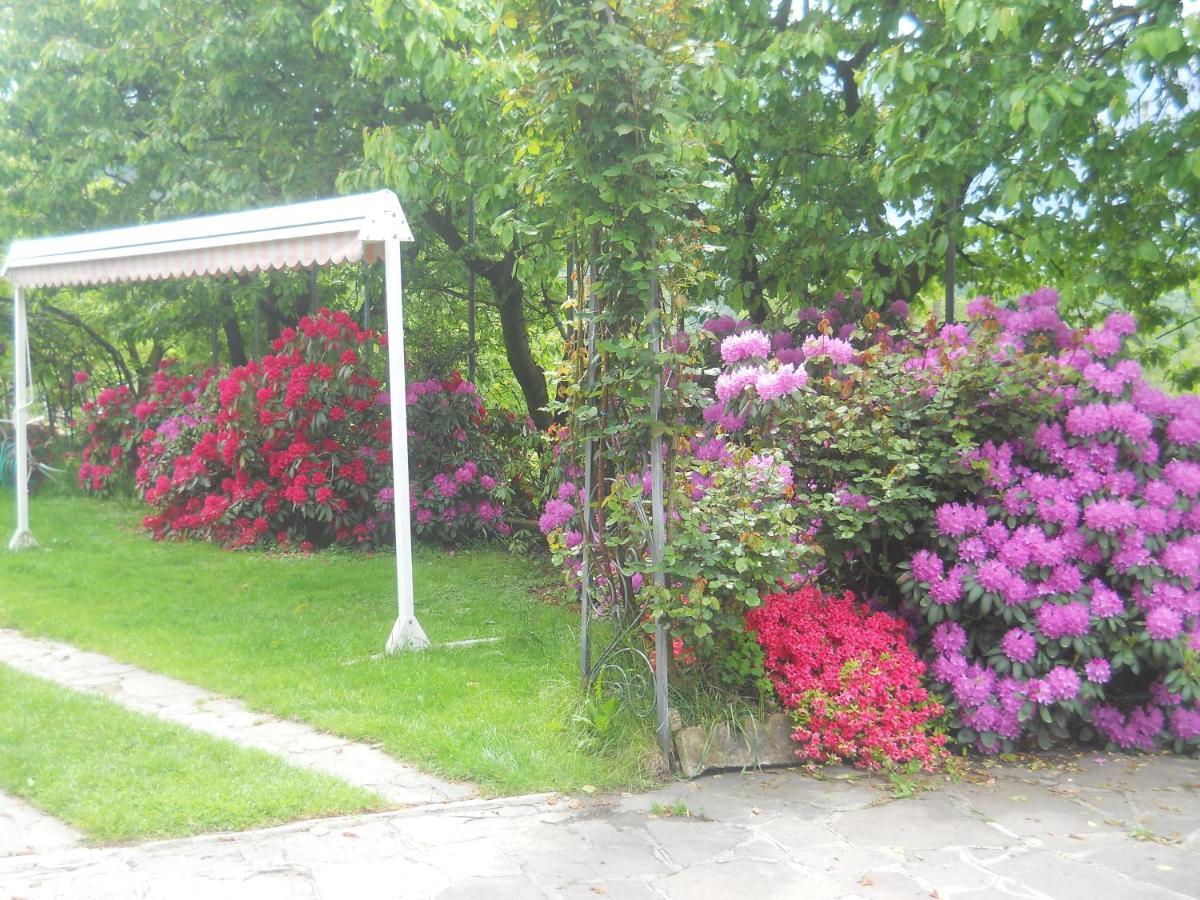 Albergo Negritella Borgo Valsugana Exteriör bild